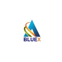 BLUEX CONSULTING