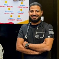 Mohamed Helmy