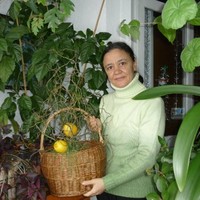 Zaharia Domnica