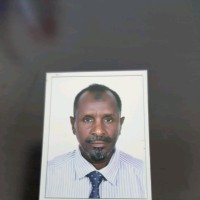 Magid Eltahir
