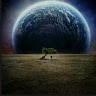 Torsten T.