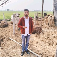 Narveer Deol