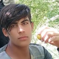 احسان حمیدی