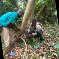Emmanuel Jean-d'Arc DOHETO