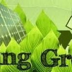Green Electric Users