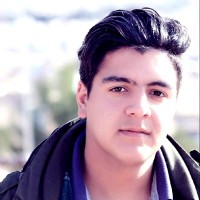 Sayed Omid Hamedi