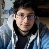 Vinícius Bortolotto Silva