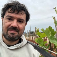 Jaume Rigo Prohens