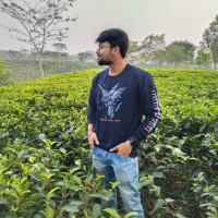 Ratnadeep Roy