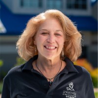 Beth Loucks, CPA