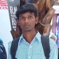 Selvaraj M