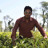 Md. Shamim Hasan