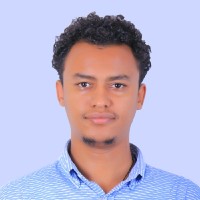 Henok Mesfin