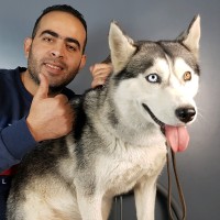 Alouache Nabil