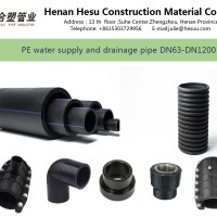 Alice Han (Henan Hesu Pipes)