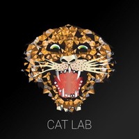 Cat Lab International Account