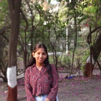Hindavi Shewale