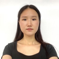 Li Jing