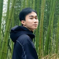 Van-Manh Nguyen