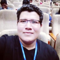 Rolin Ariel Castro Mendoza