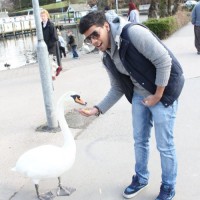 Ankur bahal