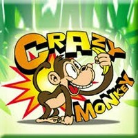 crazy monkey