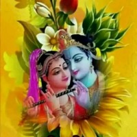 Bg Gahlot