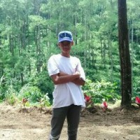 Aji Ae