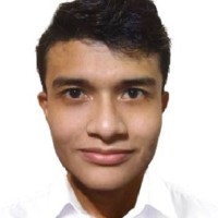 Ulises Moisés Vargas Curisinche