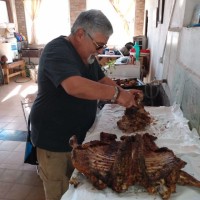 Miguel Angel Mastruianni