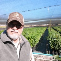 Daniel Vieira Espinoza