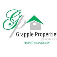 Tinashe Pride Masvaure