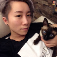 Icer Wu