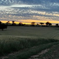 JOAQUIN GARCIA-MARGALLO SOLO DE ZALDIVAR