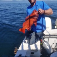 Sgt. David Pugh
