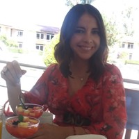 Diana Isabel Briano Durón