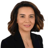 Esma Parmak Kahraman CPA,IA,CRMA in Turkiye