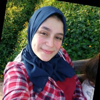 Abeer Nasser