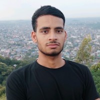 Vikram Singh Panwar