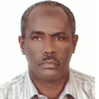 FATHELRAHMAN NOUR