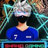 Shahid Gaming Zone