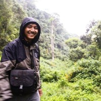 Afif Majid