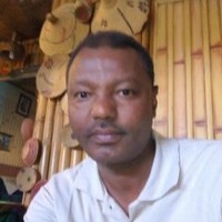 Alemseged Yilma