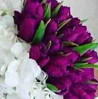 حنان عبدالباقى