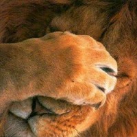 Marisa Conamat santos