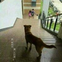 蒋少林