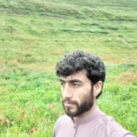 Sifatullah Zyarmal