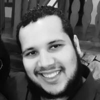 Luis Henrique Borges Viana