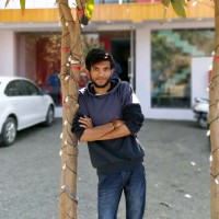 Dhavan Bhalodia