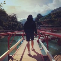 Thông Lê Trung